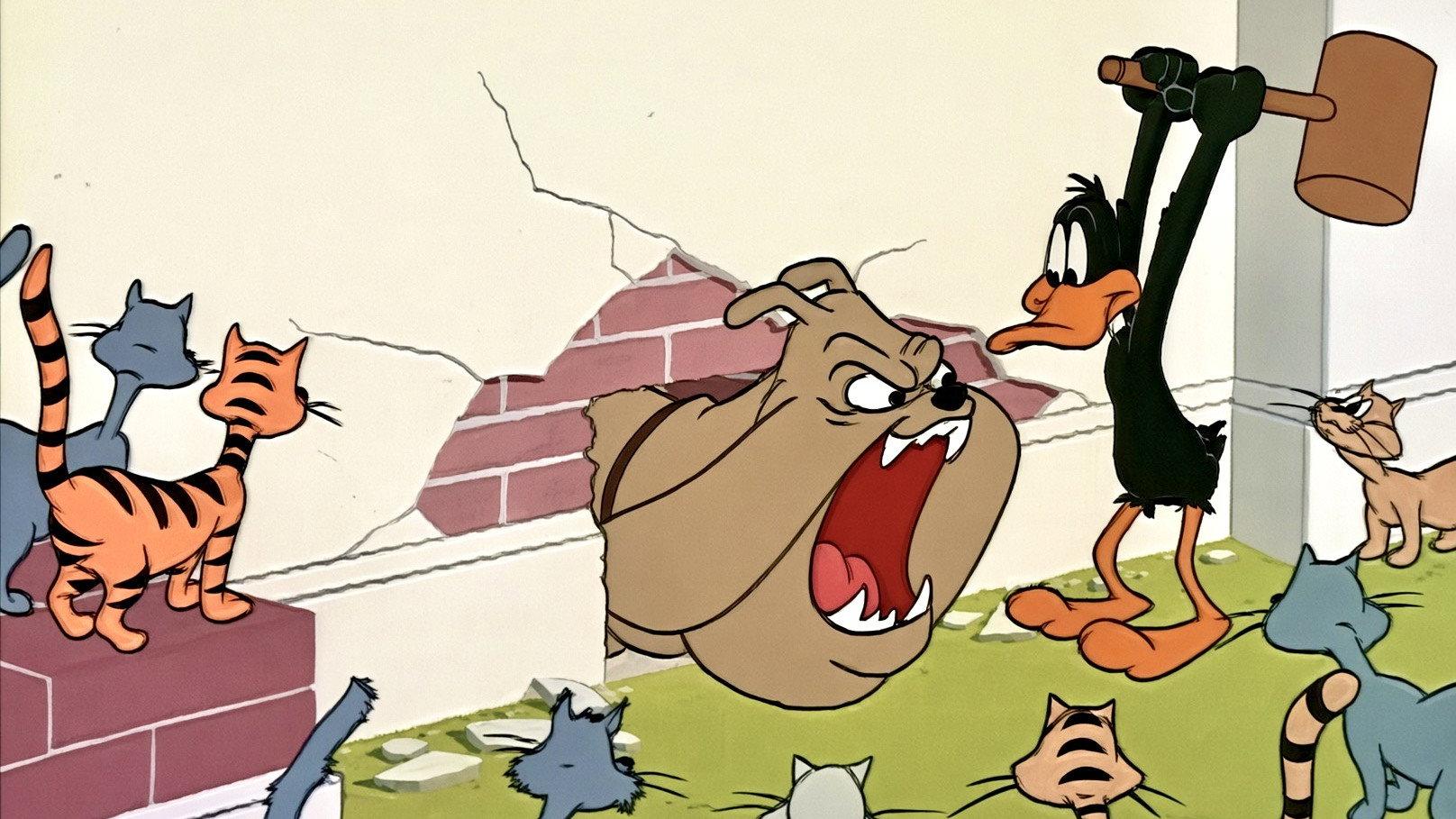 Fast Buck Duck 1963 movie scene