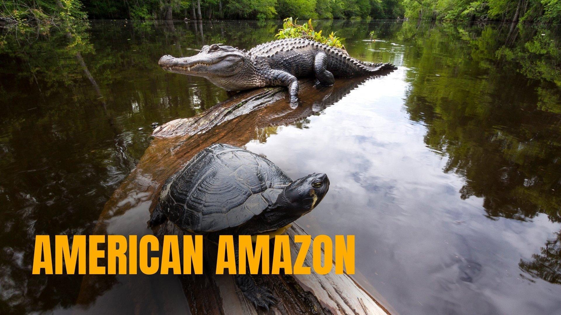 American Amazon 2026 movie scene