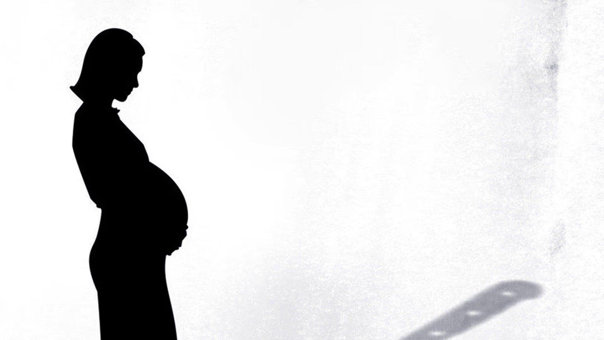 The Surrogacy Trap 2012 movie scene