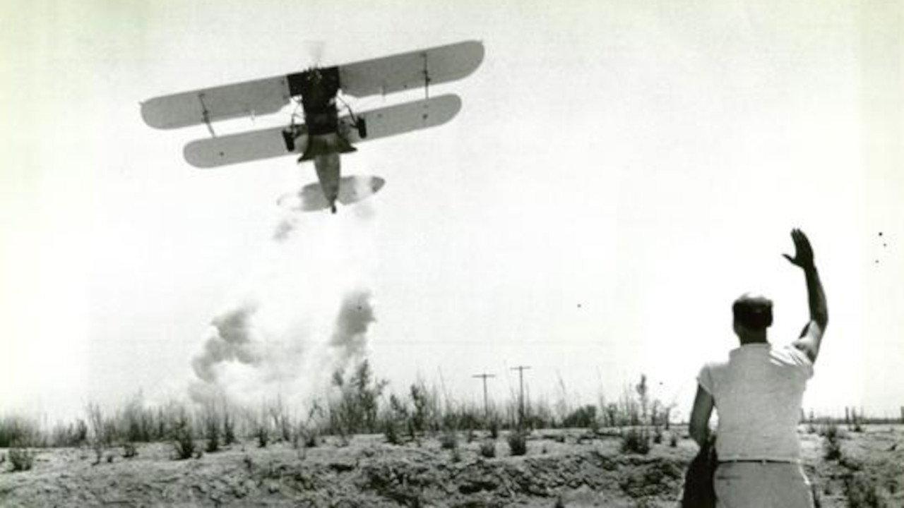 No Place to Land 1958 movie scene
