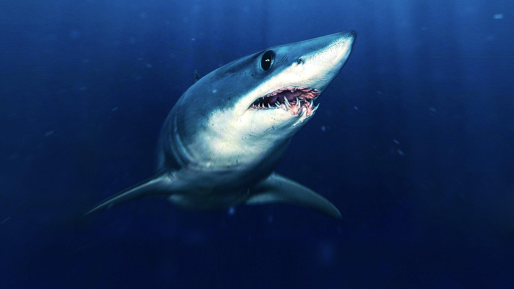 Sharks That Eat Everything 2022 movie scene