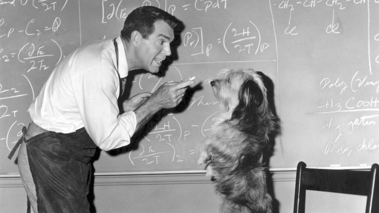 The Absent-Minded Professor 1961 movie scene