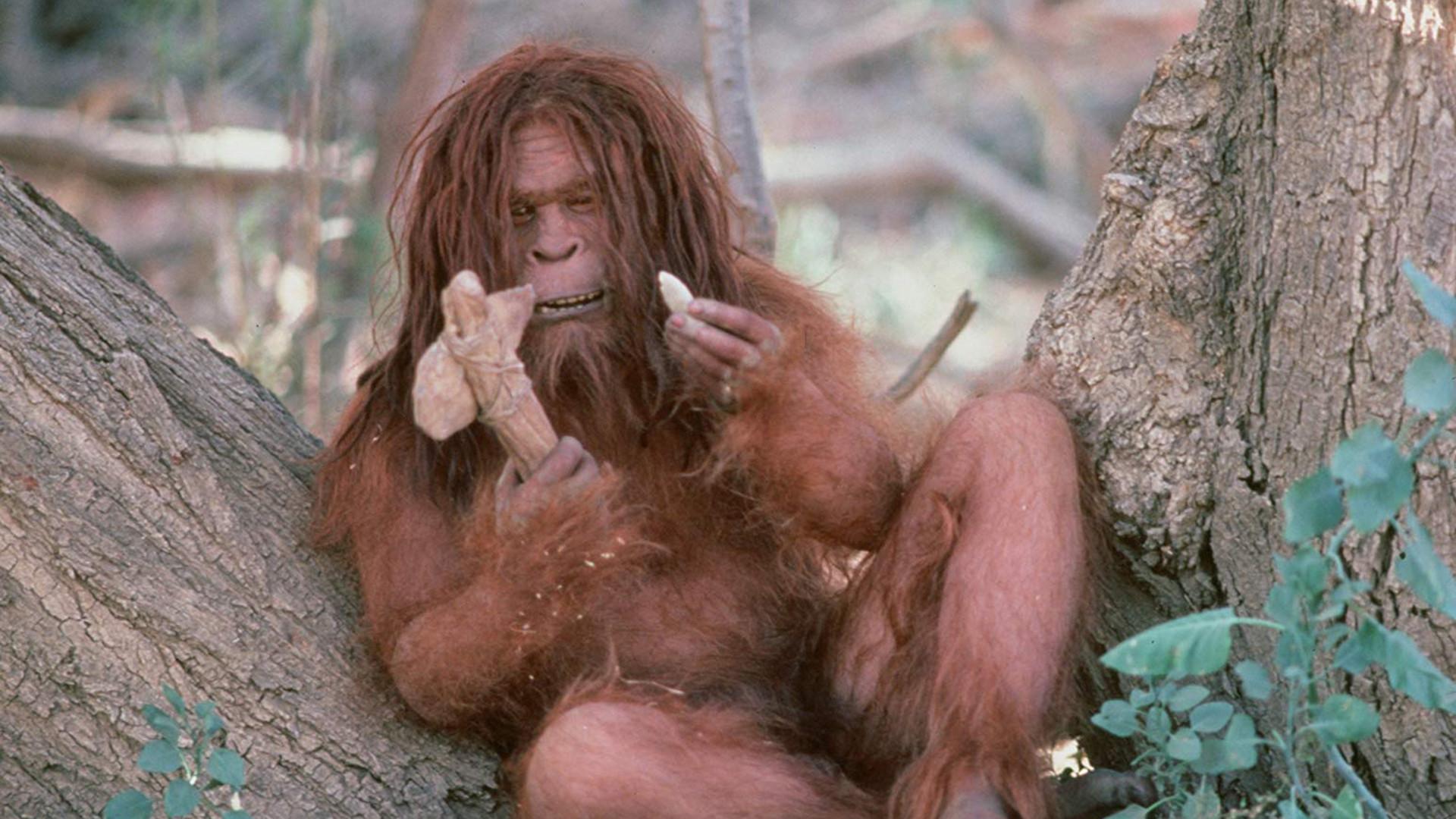 Missing Link 1988 movie scene