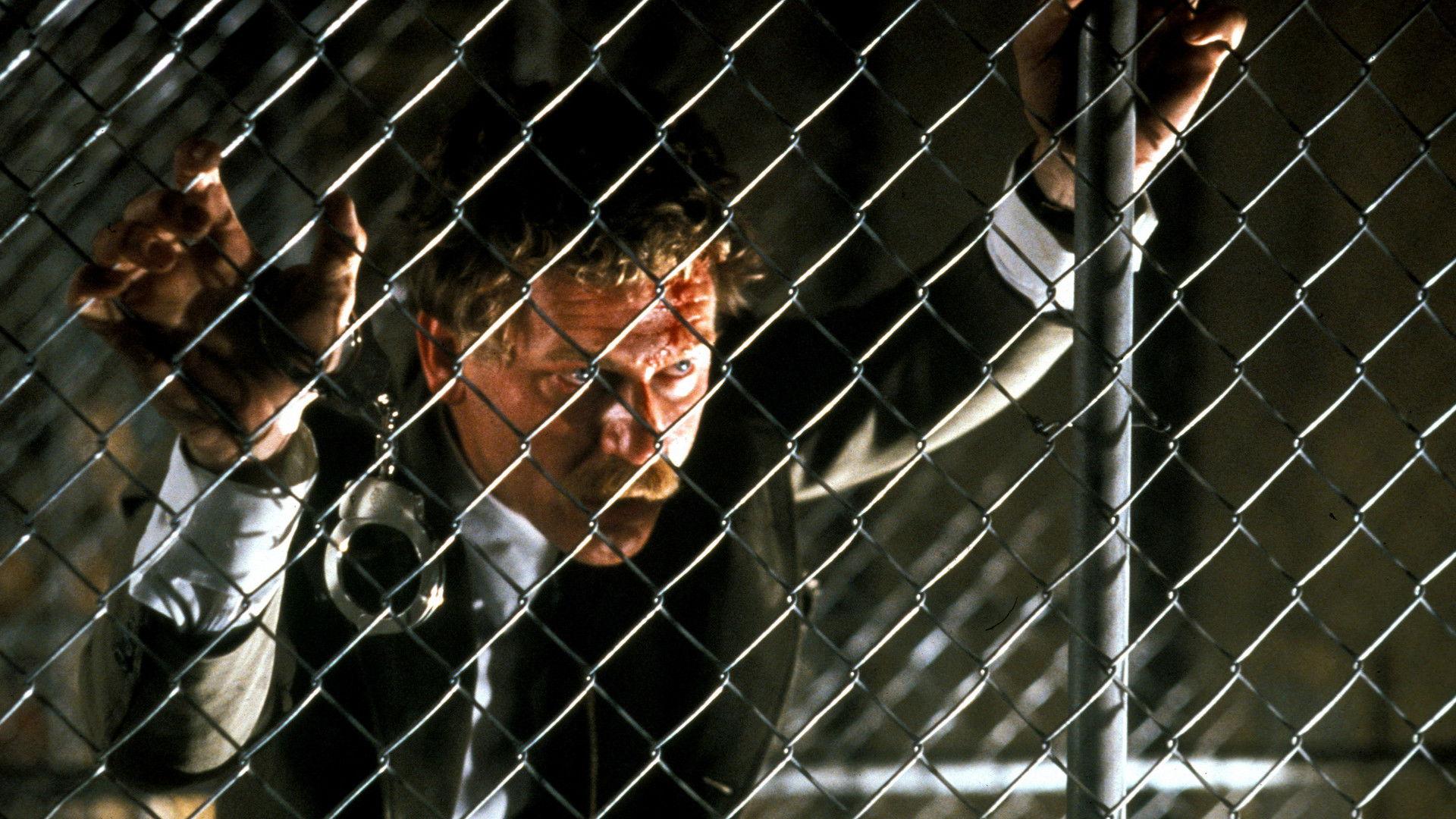The Black Marble 1980 movie scene