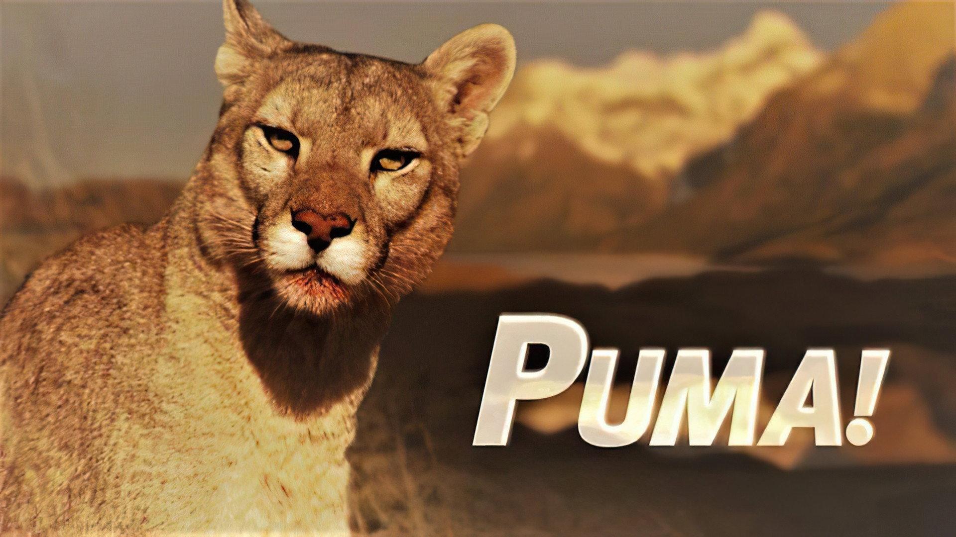 Puma! 2015 movie scene