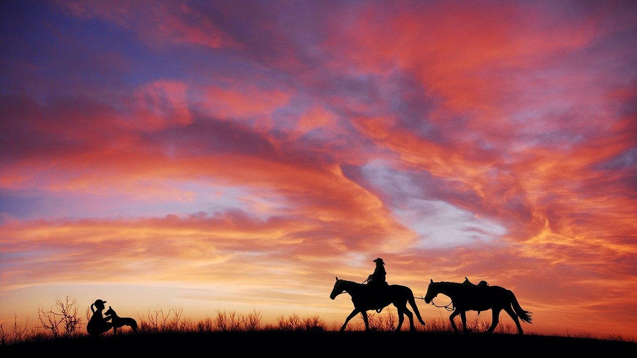 Western spaghetti : Colts, Torgnoles et Haricots 2022 movie scene