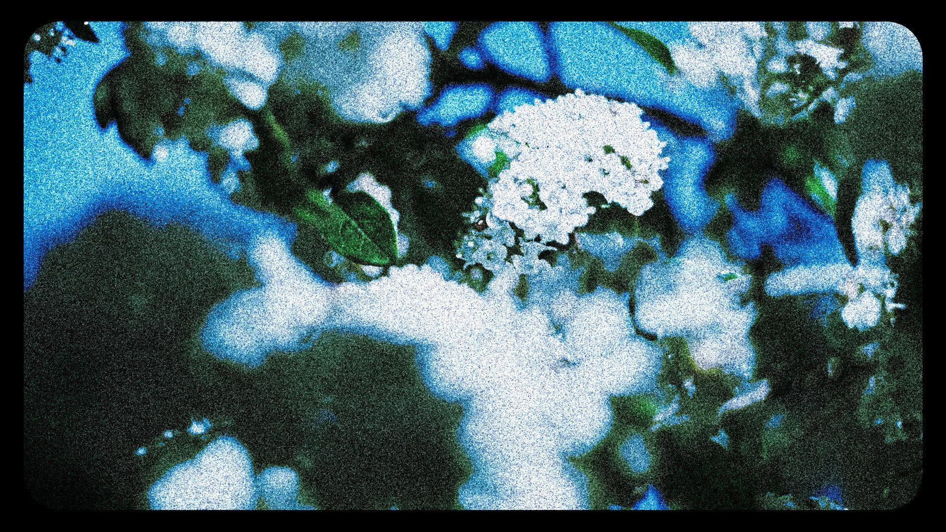 Flowers (III) 2025 movie scene