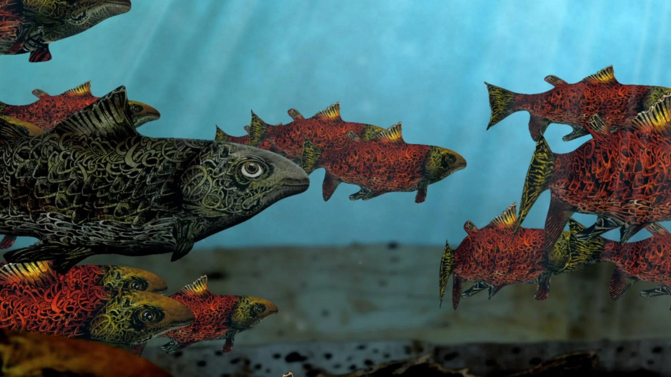 Salmon 2015 movie scene