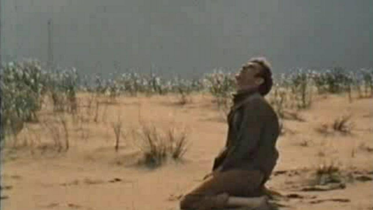 The Monarch Butterfly 1980 movie scene
