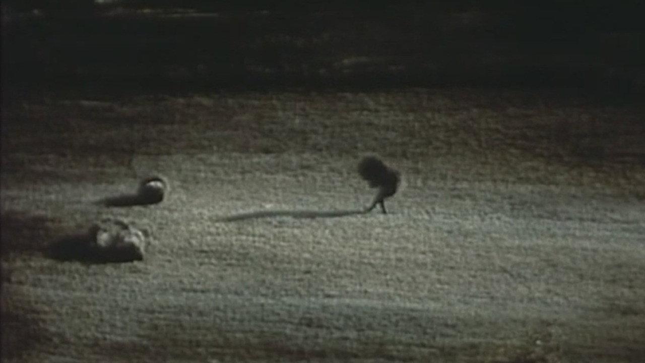 Breakfast 1974 movie scene