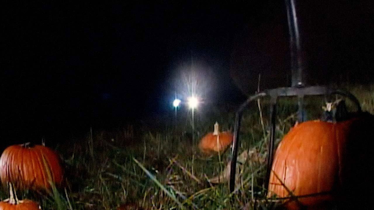 Revenge of the Great Pumpkin 2020 movie scene