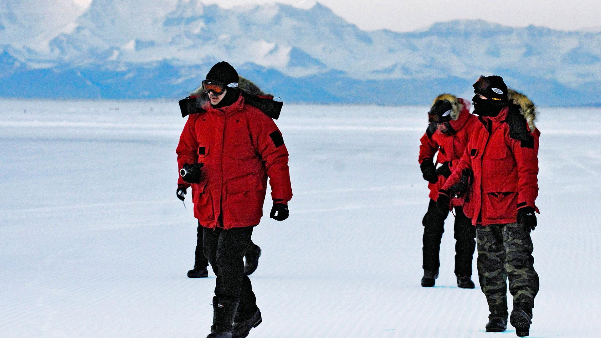 Antarctic Journal 2005 movie scene