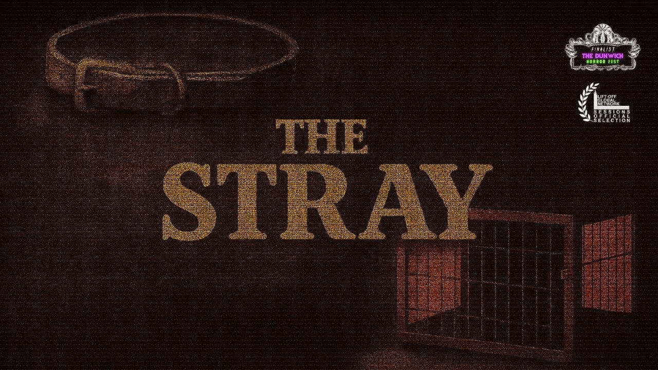 The Stray 2025 movie scene