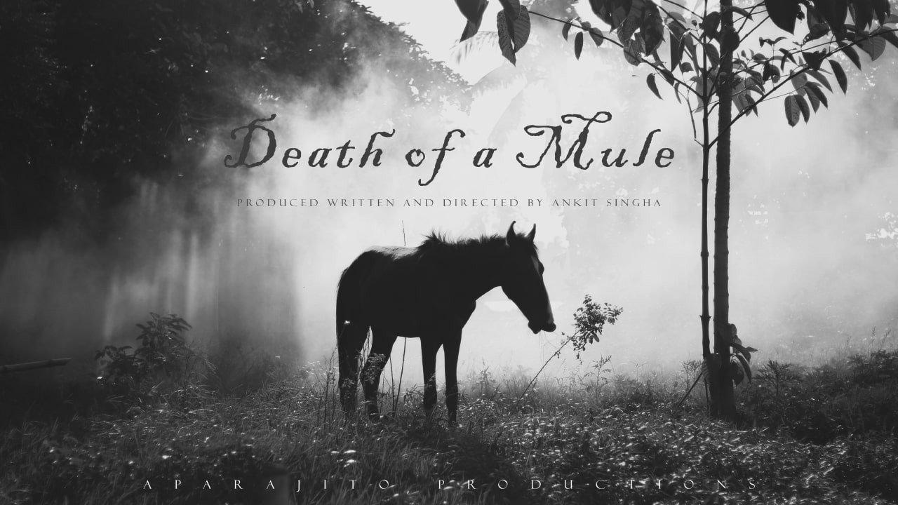 Death of a Mule movie scene