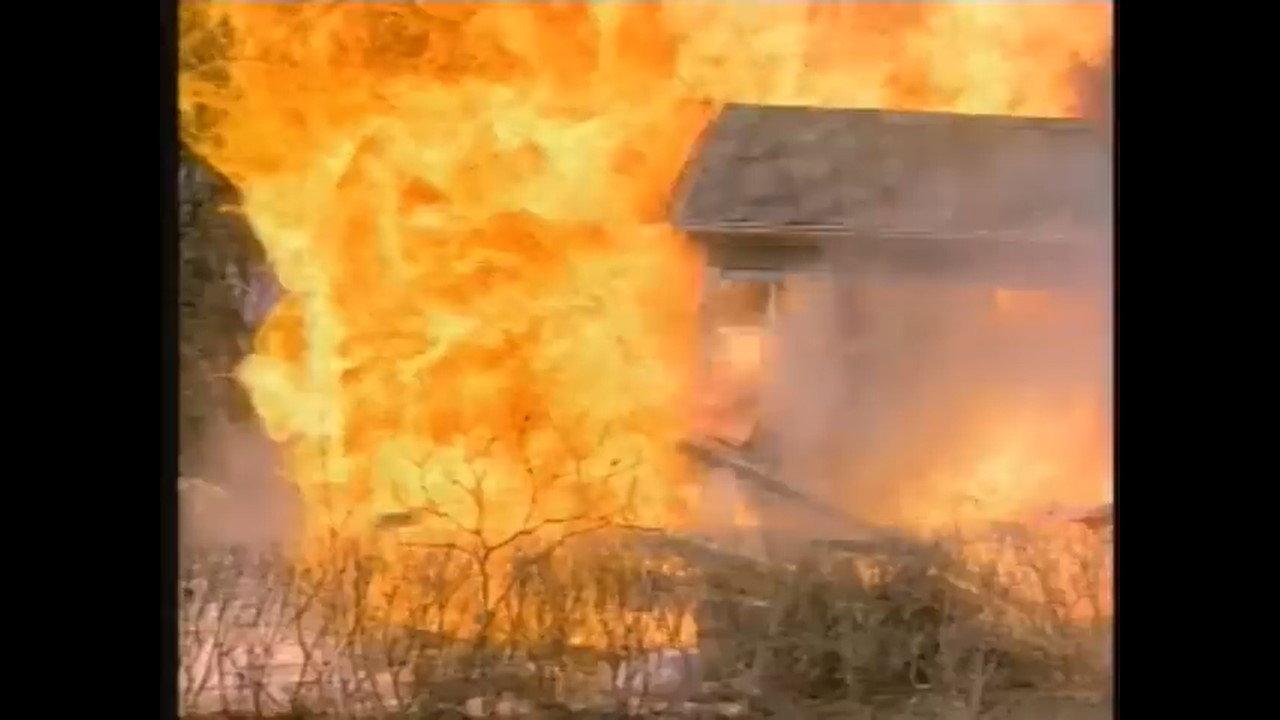 C.A.T. Squad 1986 movie scene