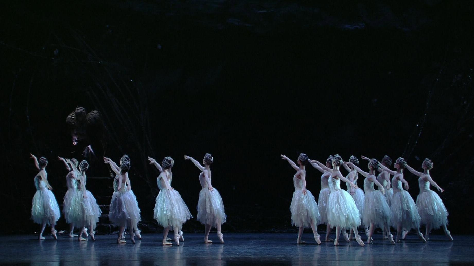 Swan Lake 2009 movie scene