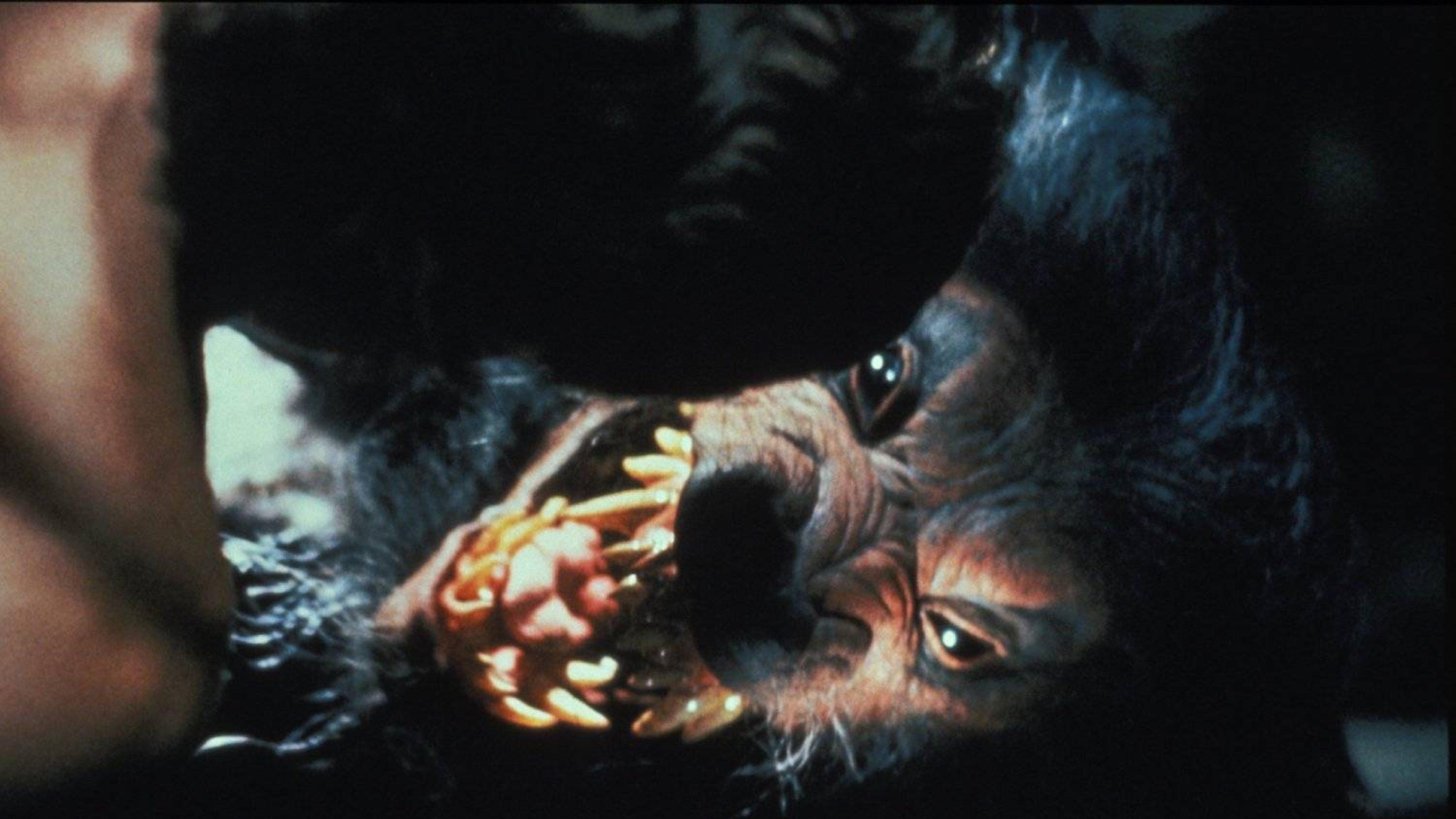 Howling V: The Rebirth 1989 movie scene