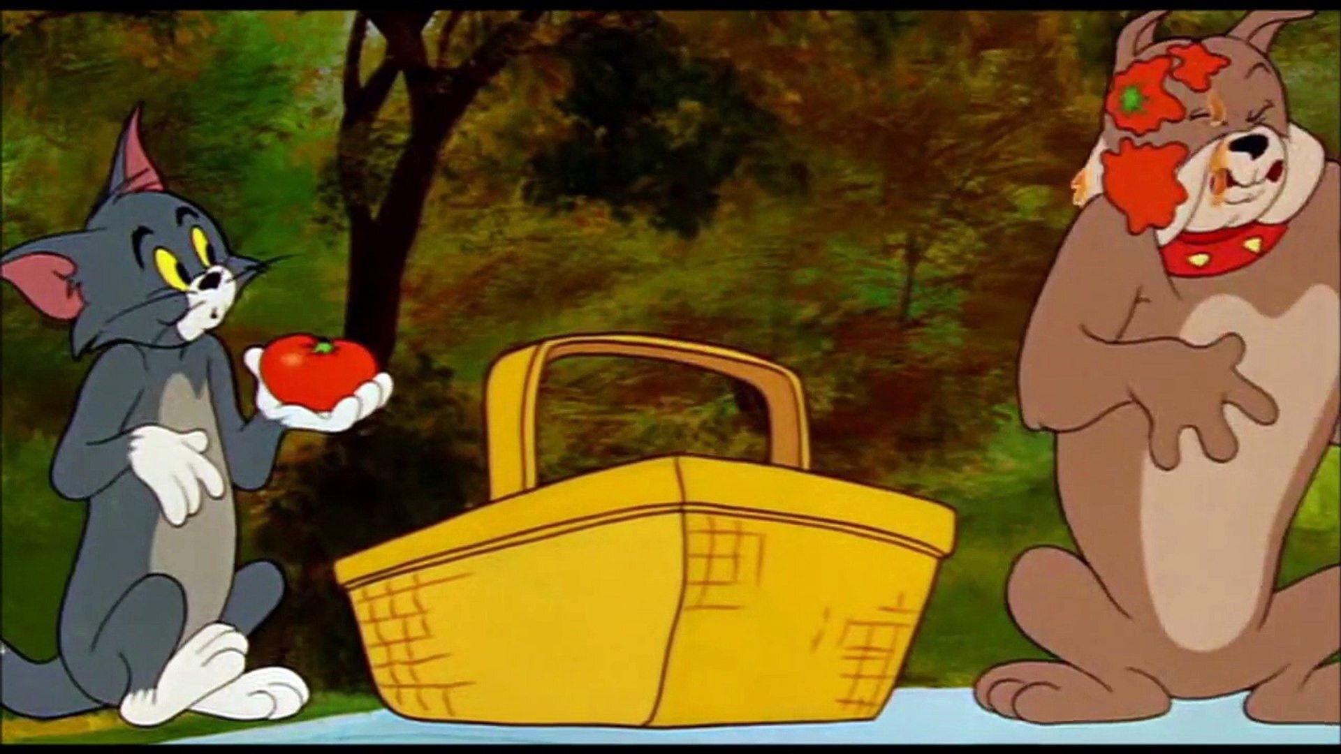 Pup on a Picnic 1955 movie scene