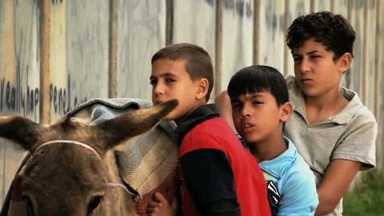 A Boy, A Wall, and A Donkey 2008 movie scene