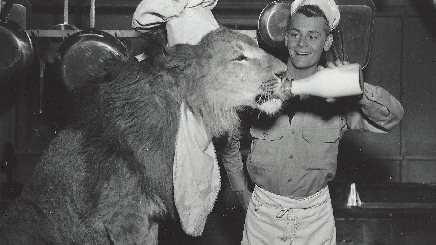 Fearless Fagan 1952 movie scene
