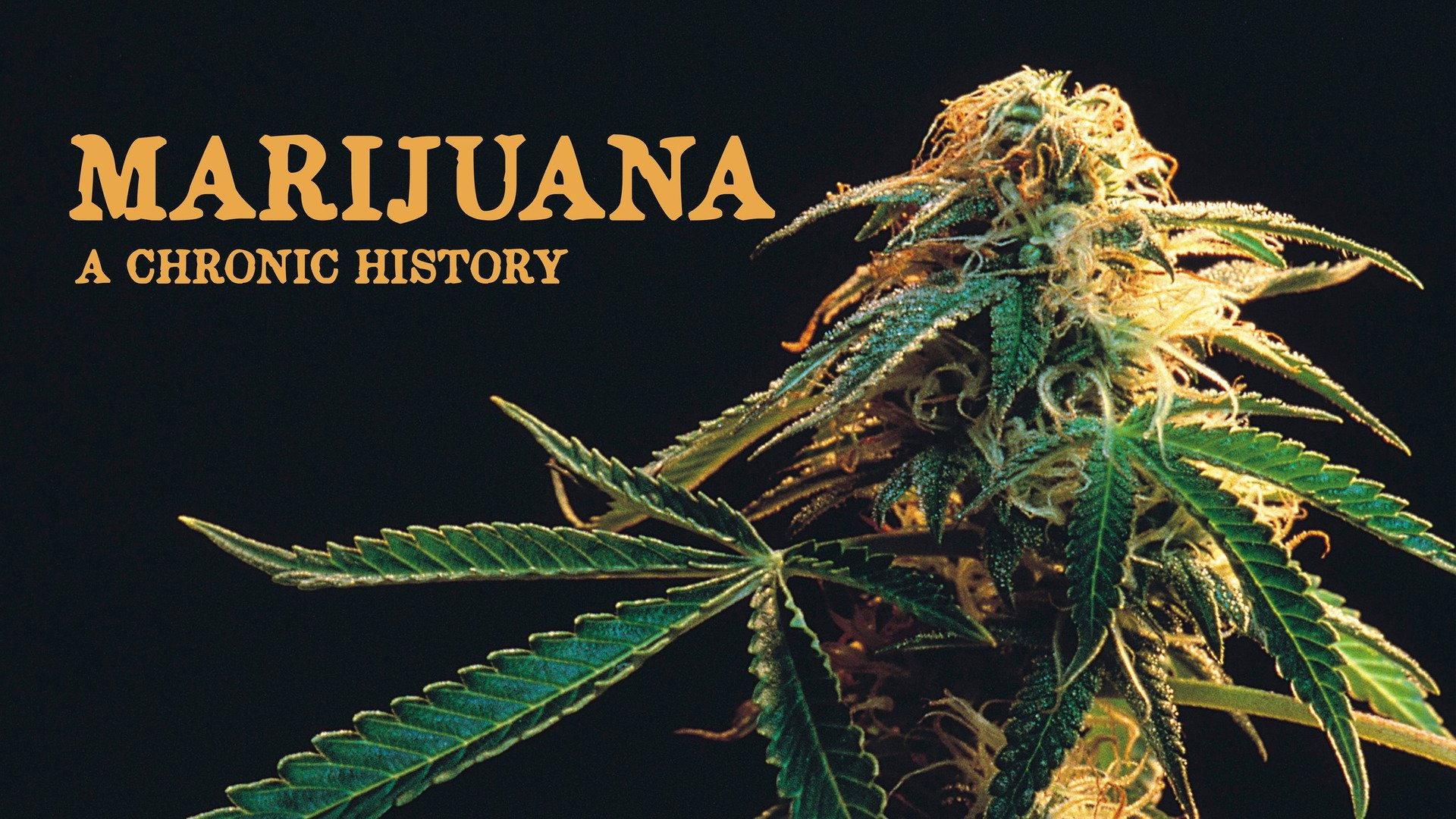 Marijuana: A Chronic History 2010 movie scene