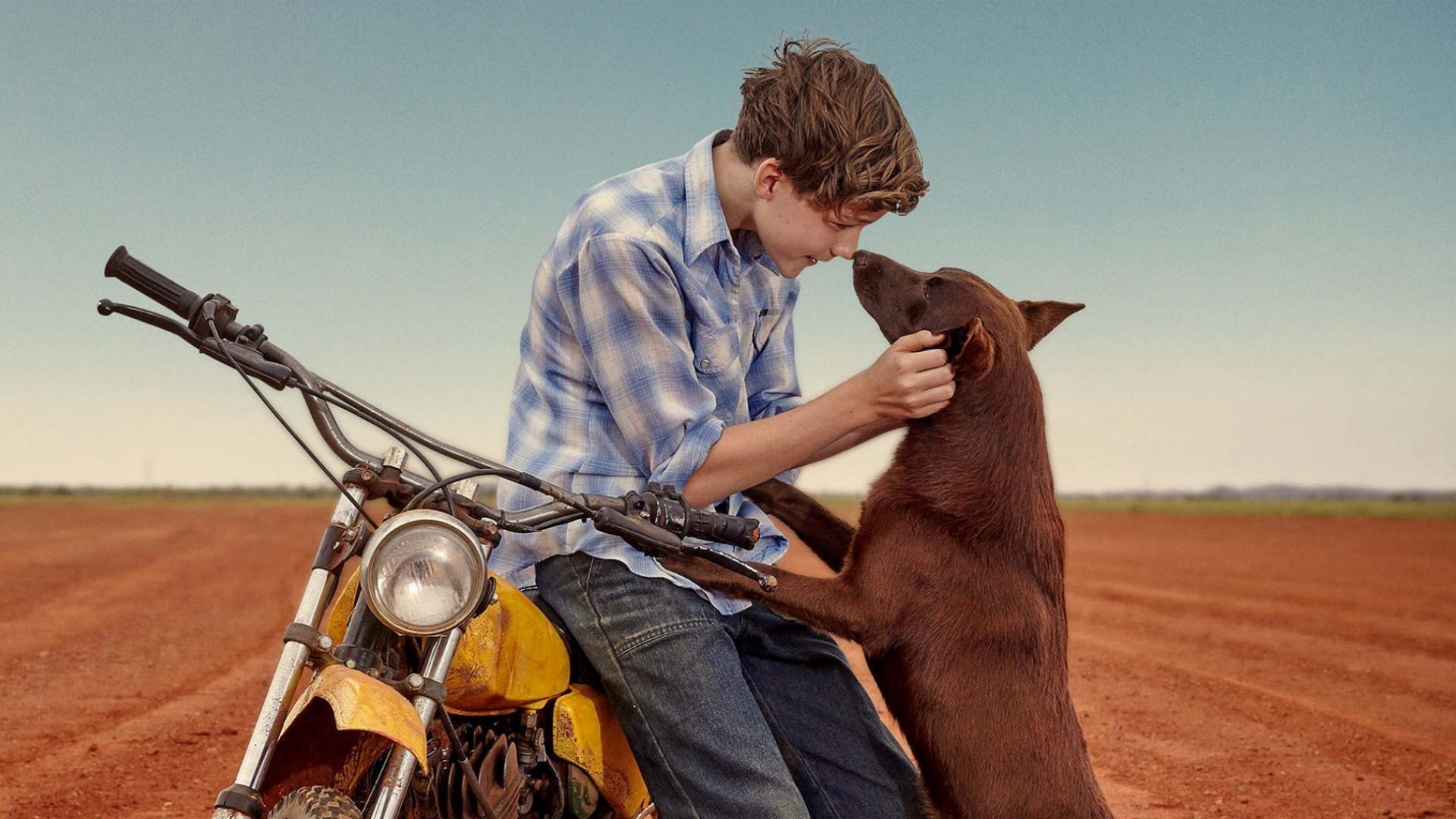 Red Dog: True Blue 2016 movie scene