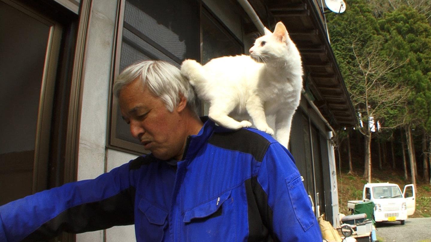 Alone Again in Fukushima 2023 movie scene