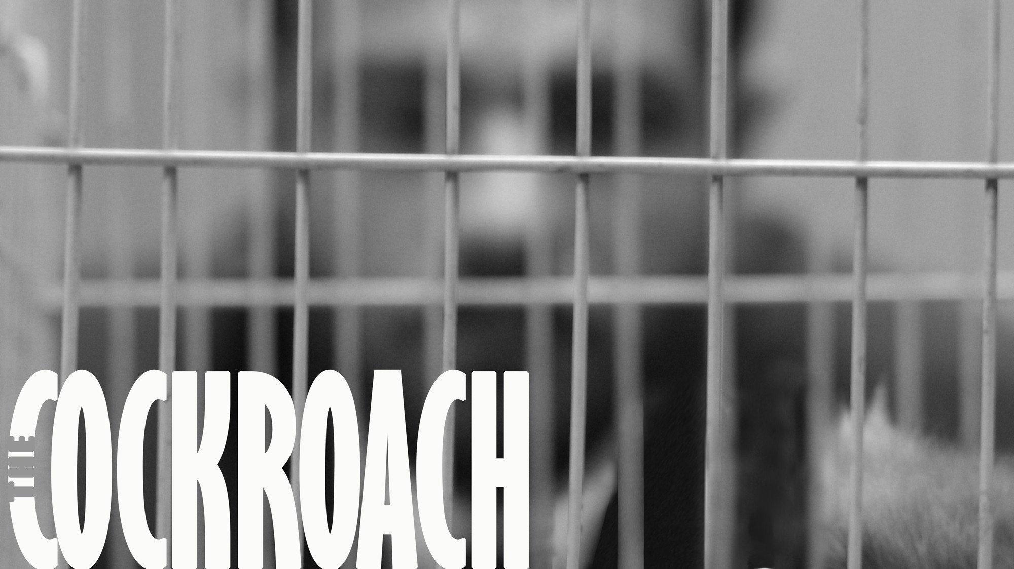 The Cockroach 2022 movie scene