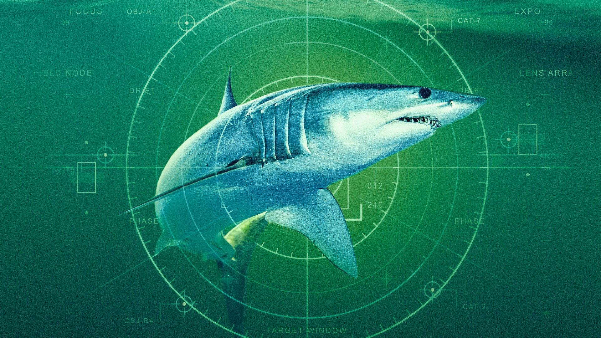 World's Biggest Mako 2026 movie scene