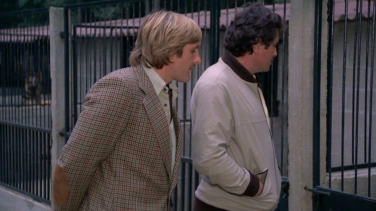 The Dogs 1979 movie scene