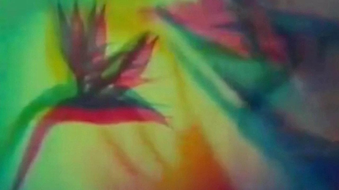 The Psychedelic Experience 1965 movie scene