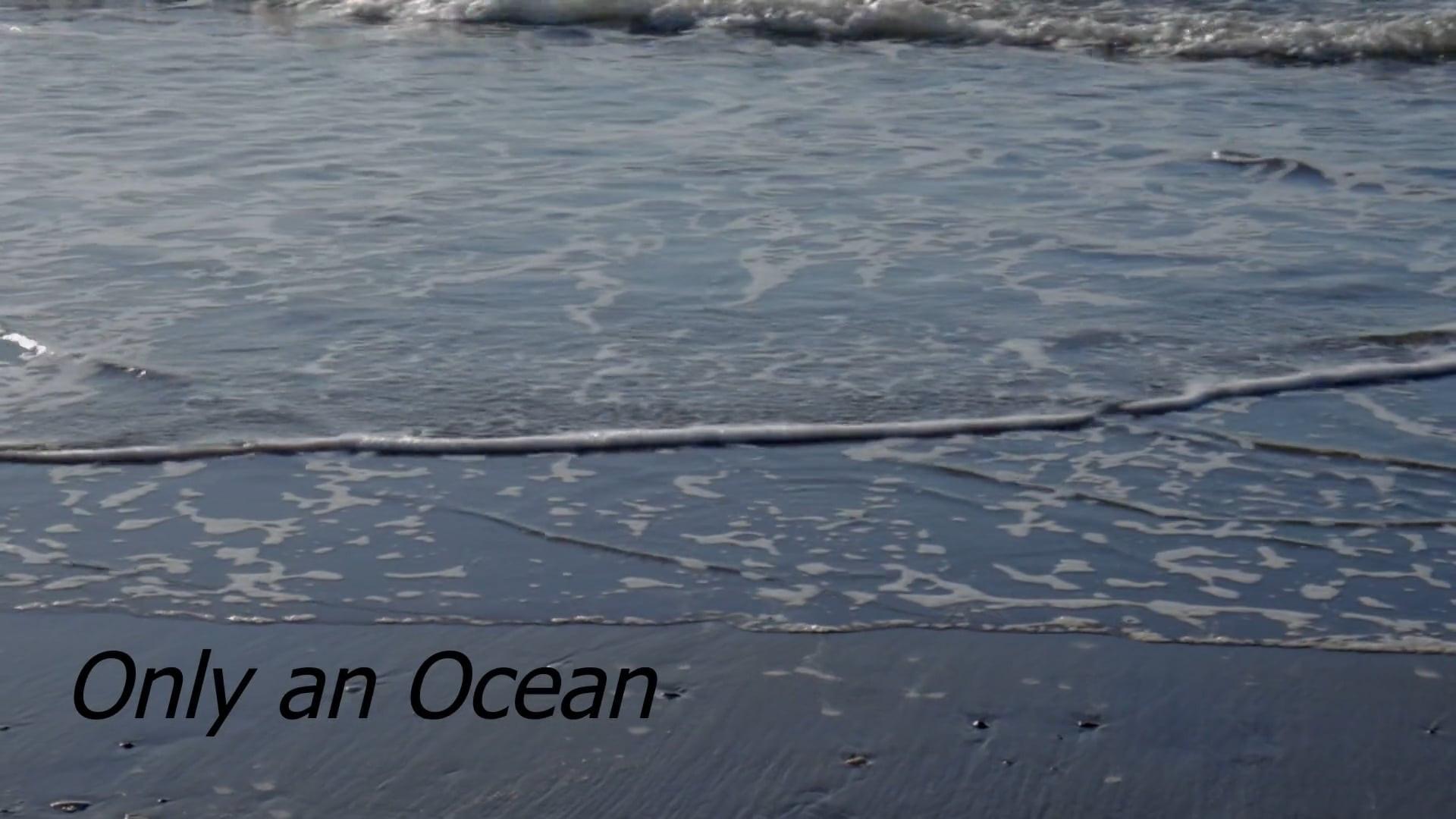Only An Ocean 2021 movie scene