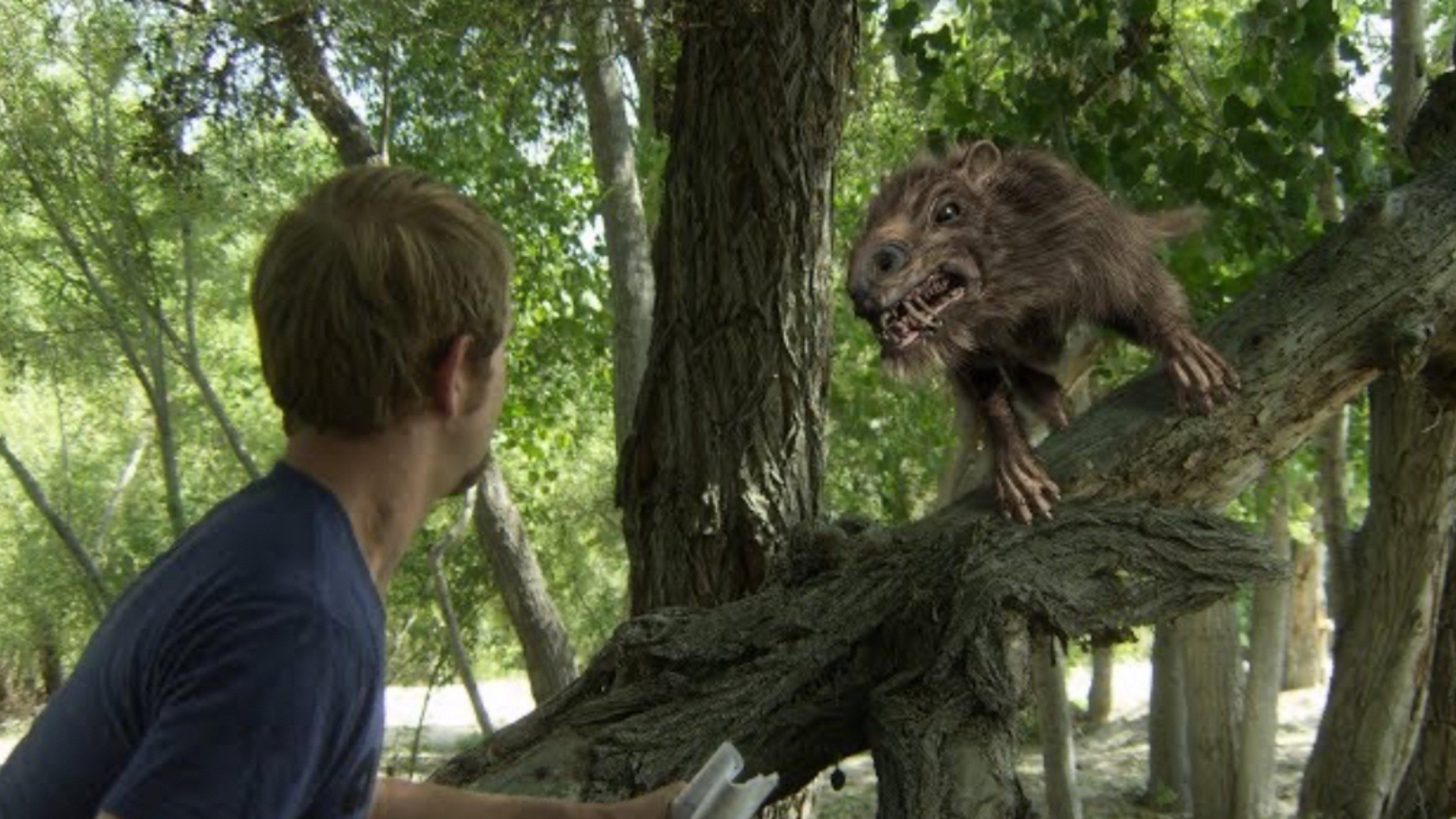 Return of the Killer Shrews 2012 movie scene