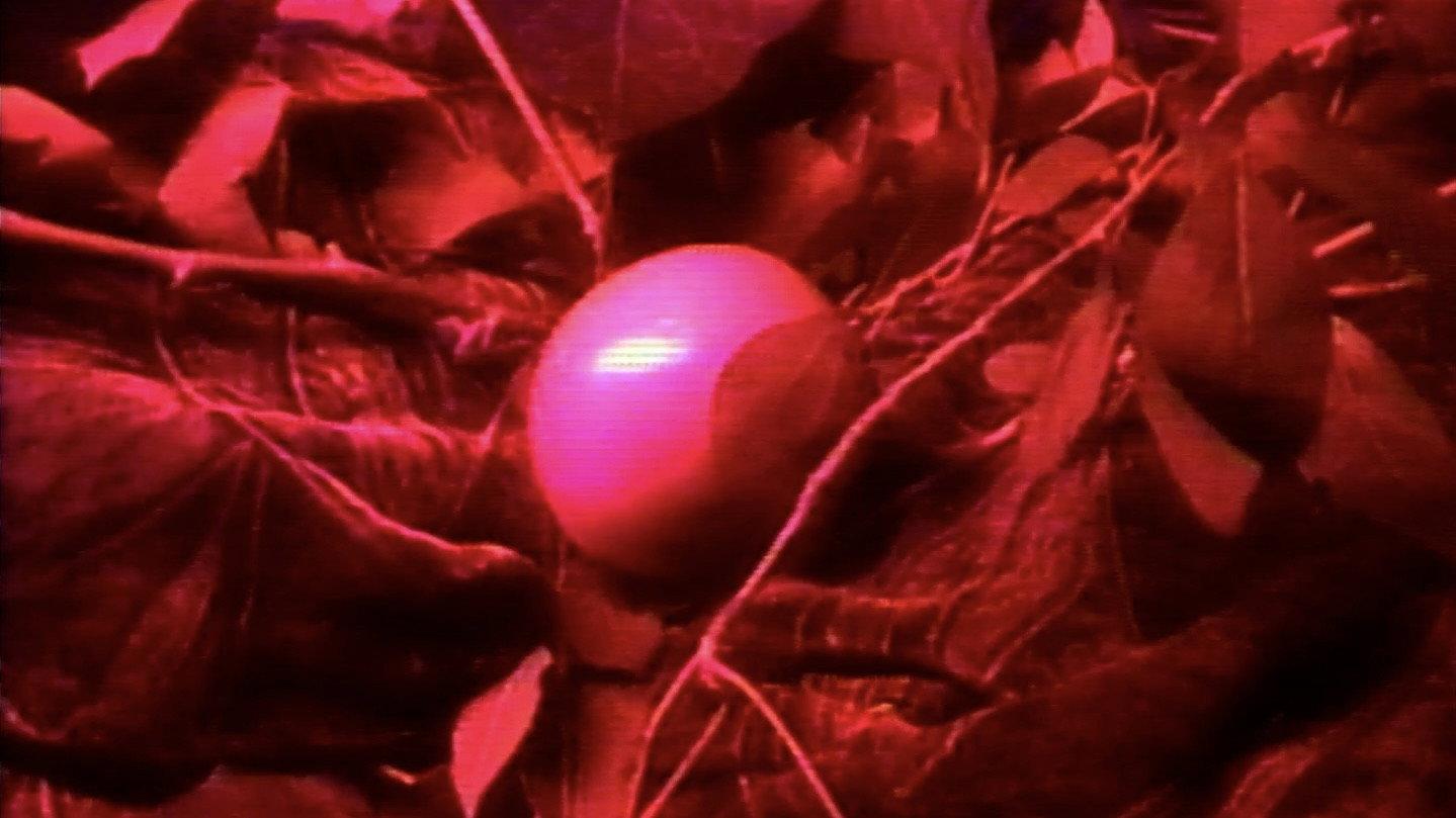 La ventana indiscreta 2025 movie scene