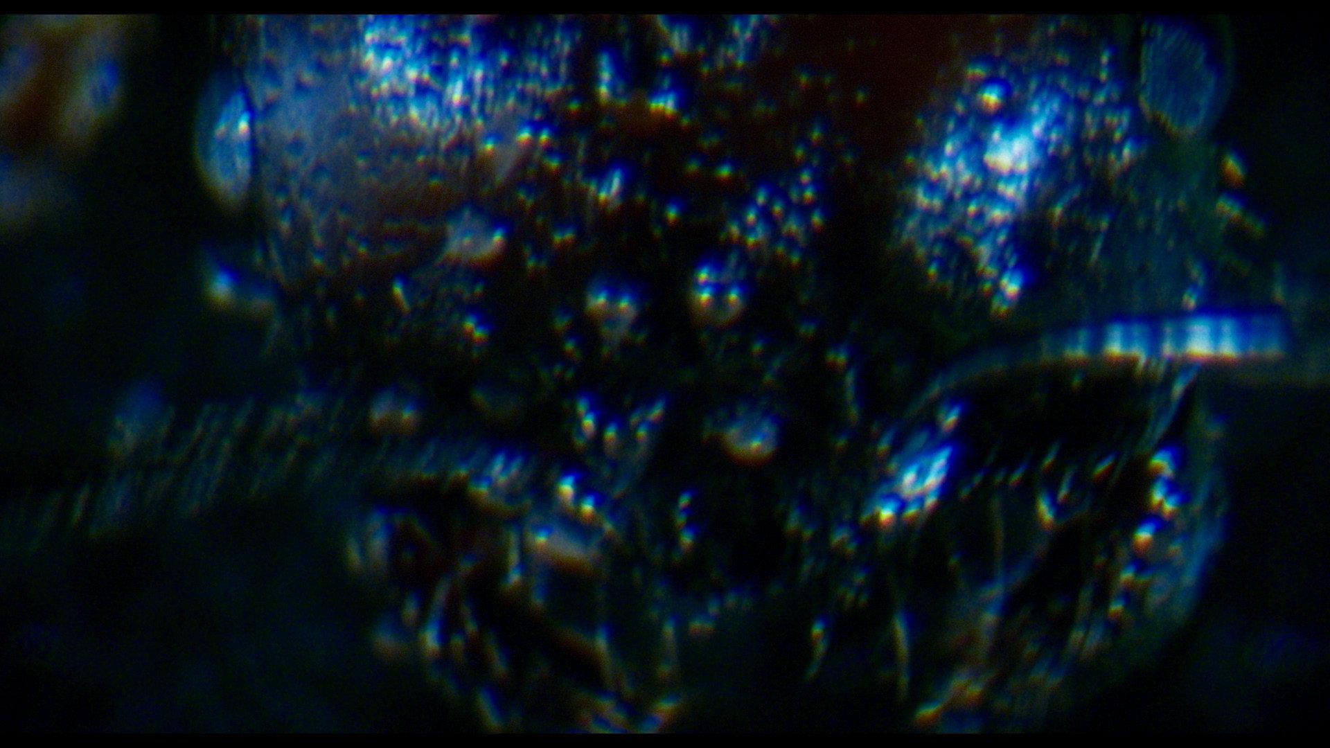 Antface 2026 movie scene
