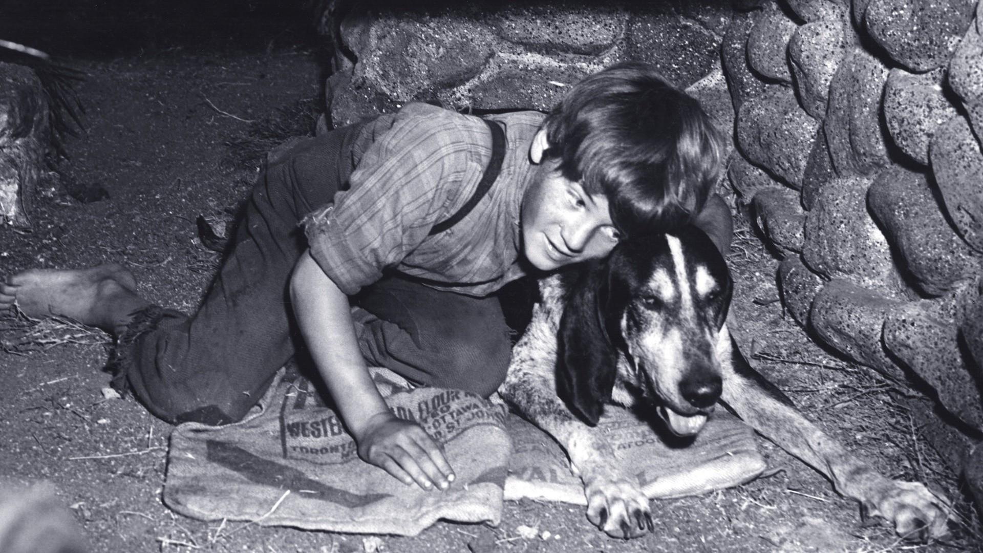 A Boy and His Dog 1946 movie scene