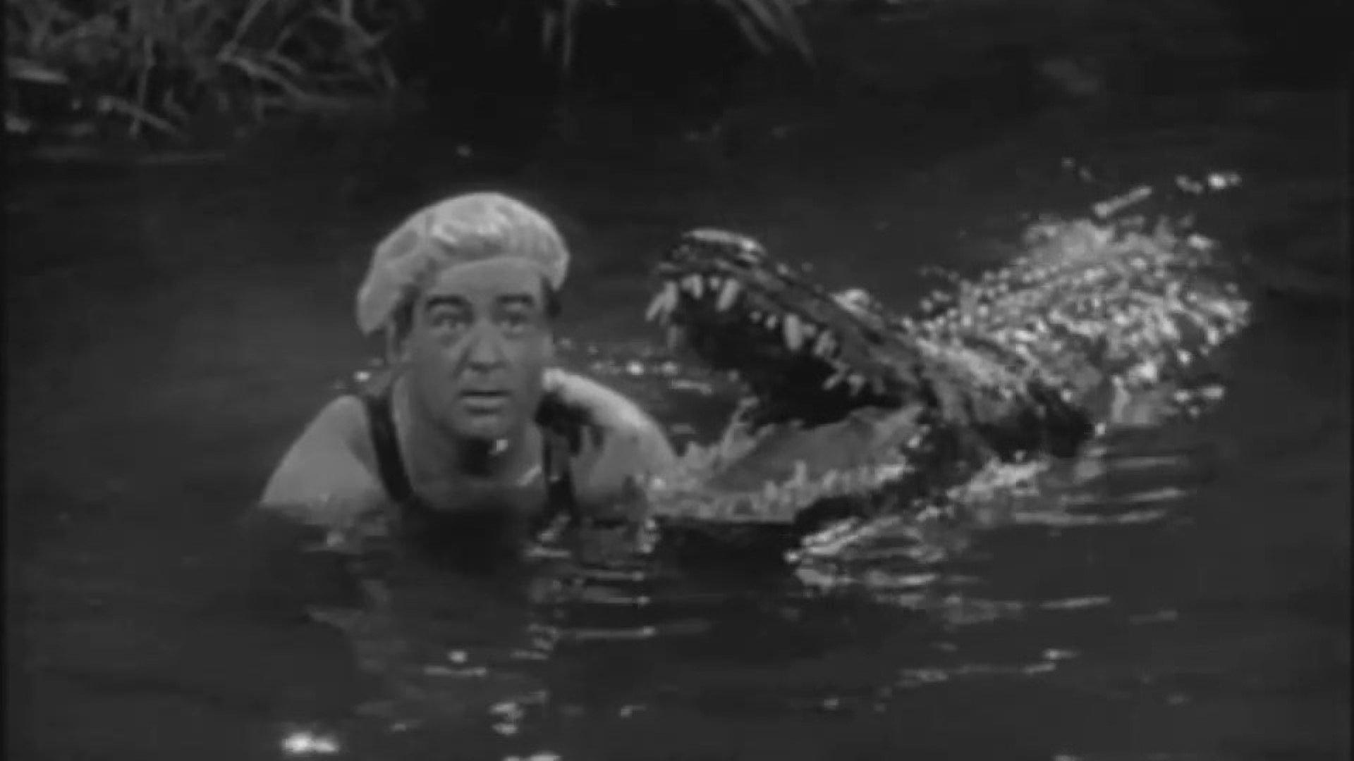 Africa Screams 1949 movie scene