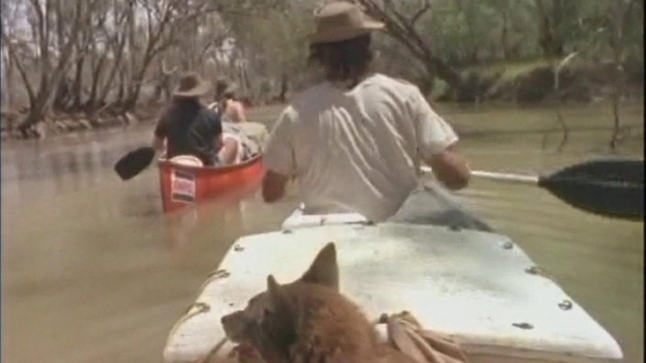 The Macquarie Marshes 1987 movie scene