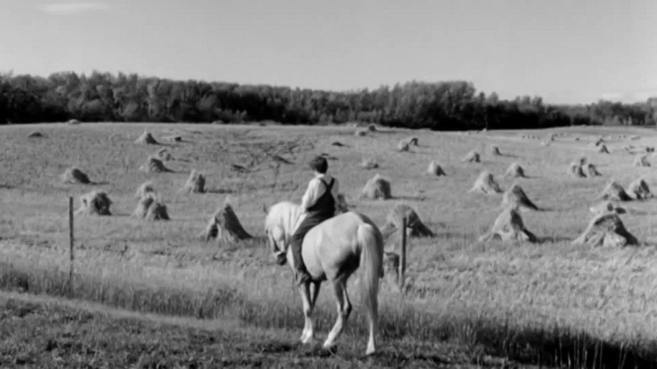 Cornet at Night 1963 movie scene