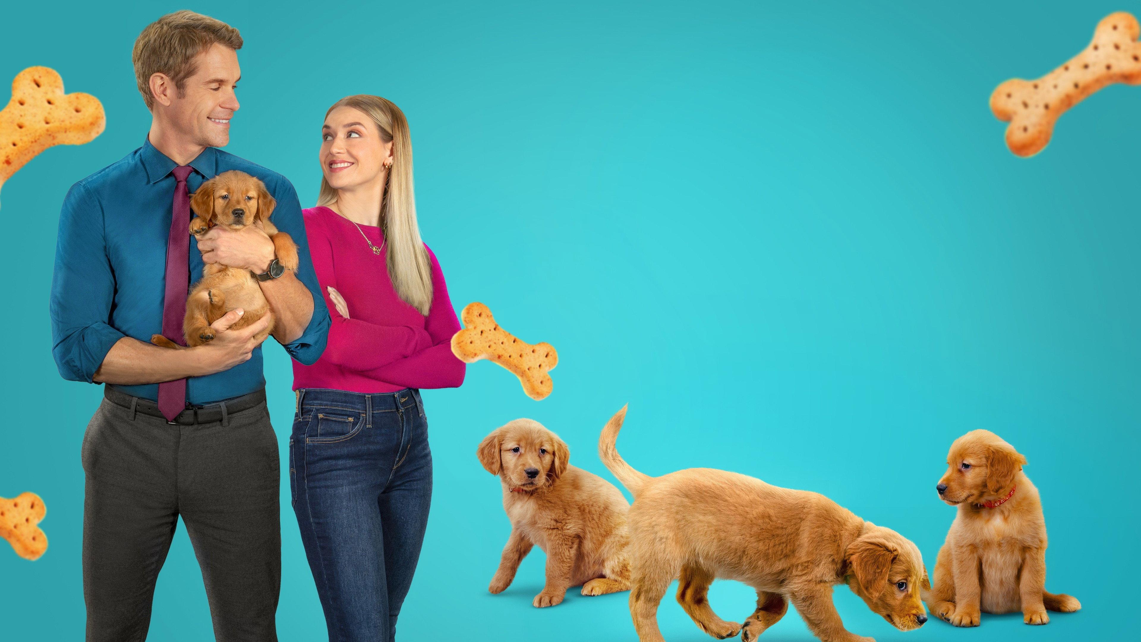 Everything Puppies 2024 movie scene