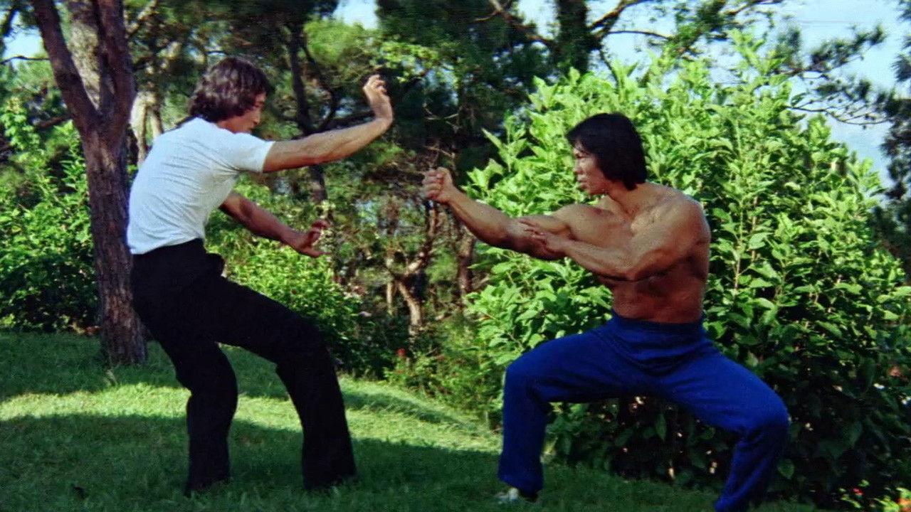 Bruce's Deadly Fingers 1976 movie scene
