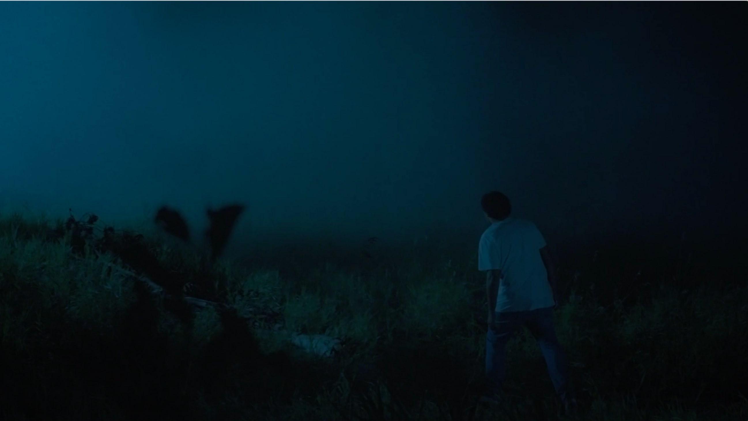 Lono and the Pig  movie scene