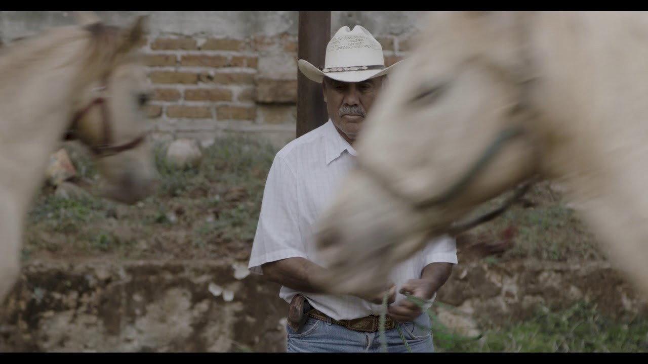 Horse Wrangler 2018 movie scene