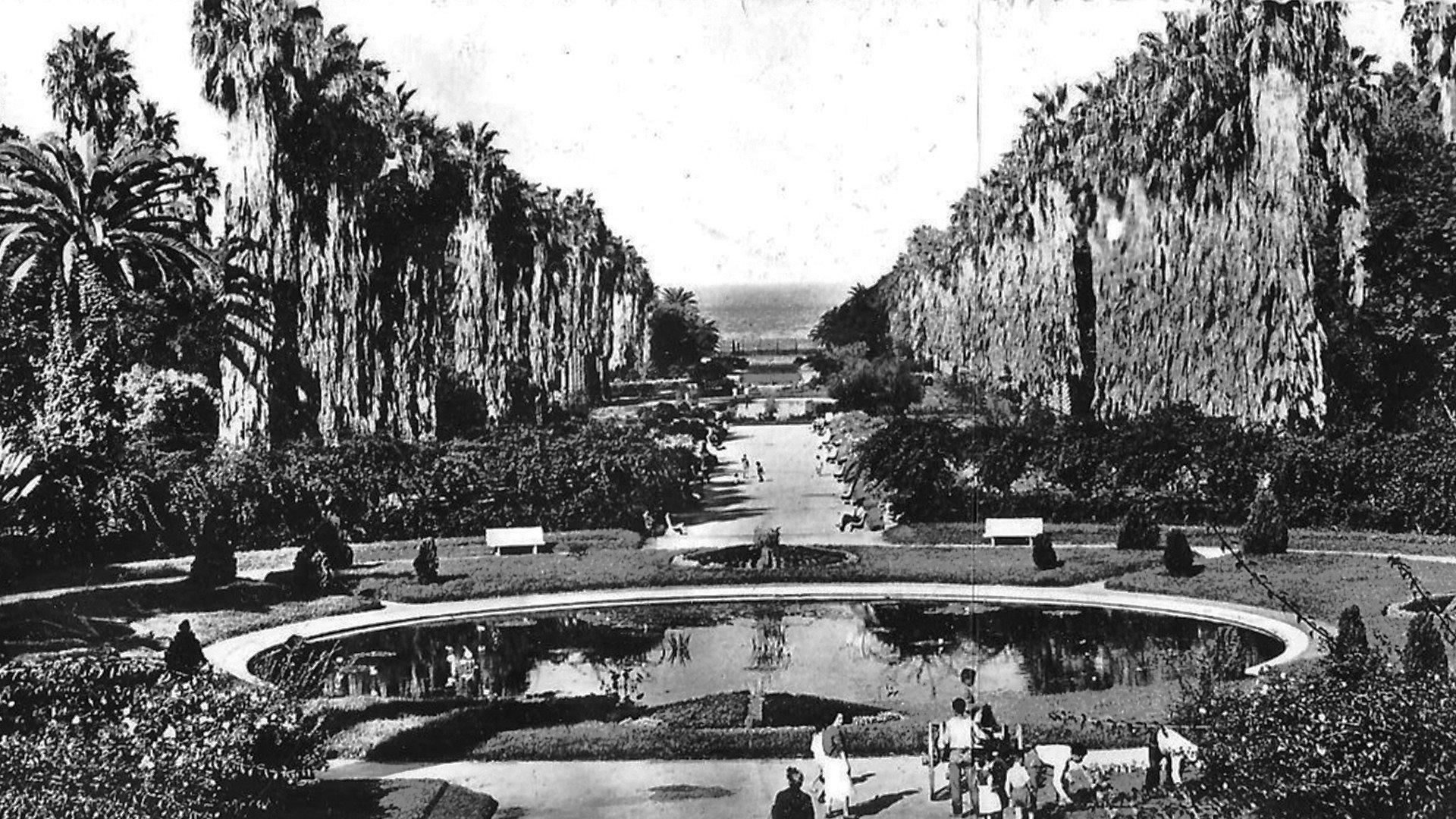 Alger Et Ses Environs 1945 movie scene