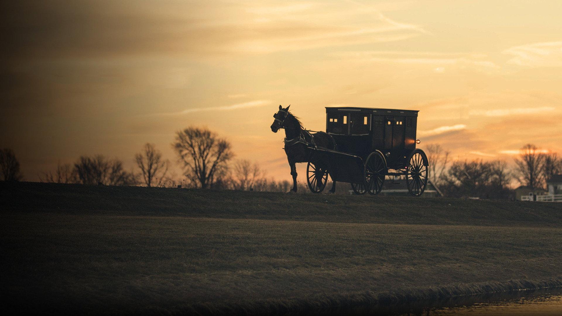 The Amish: Shunned 2014 movie scene