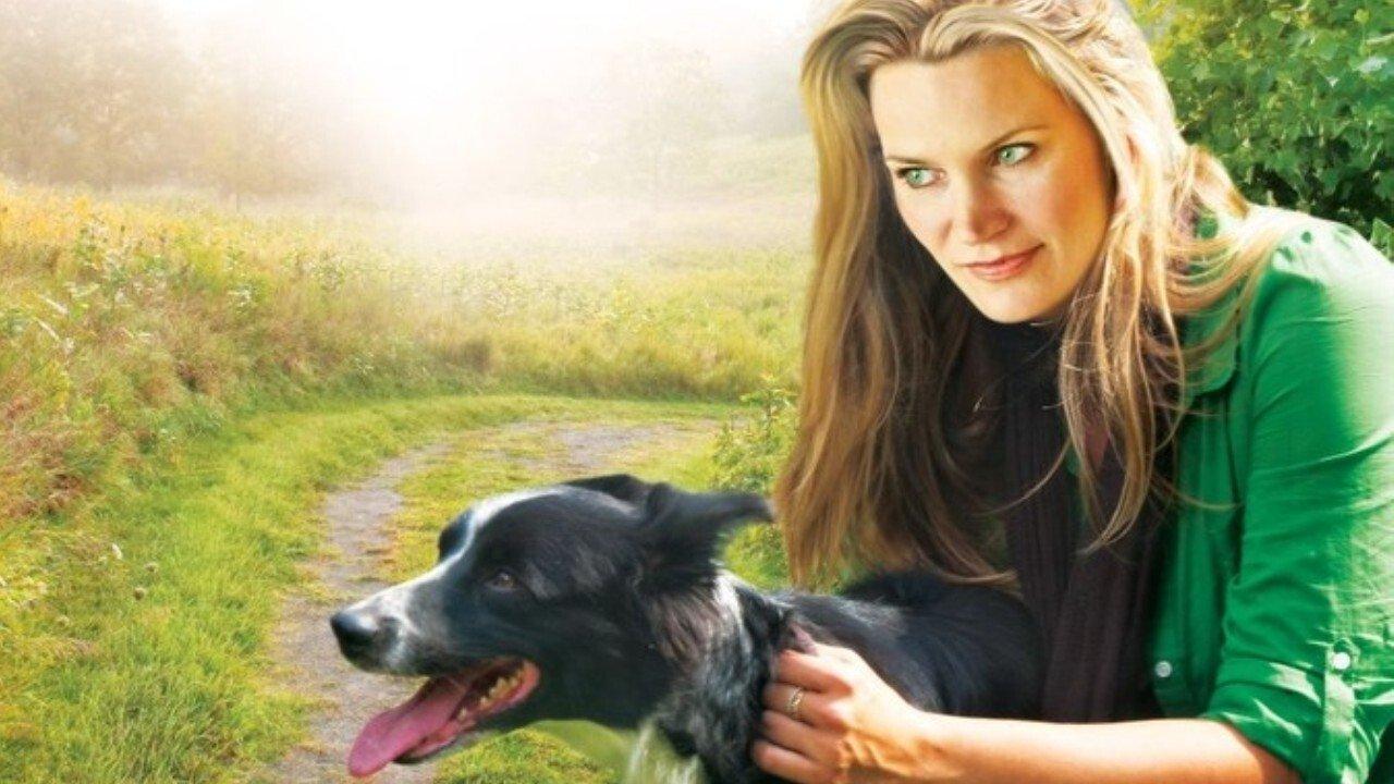You Lucky Dog 2010 movie scene