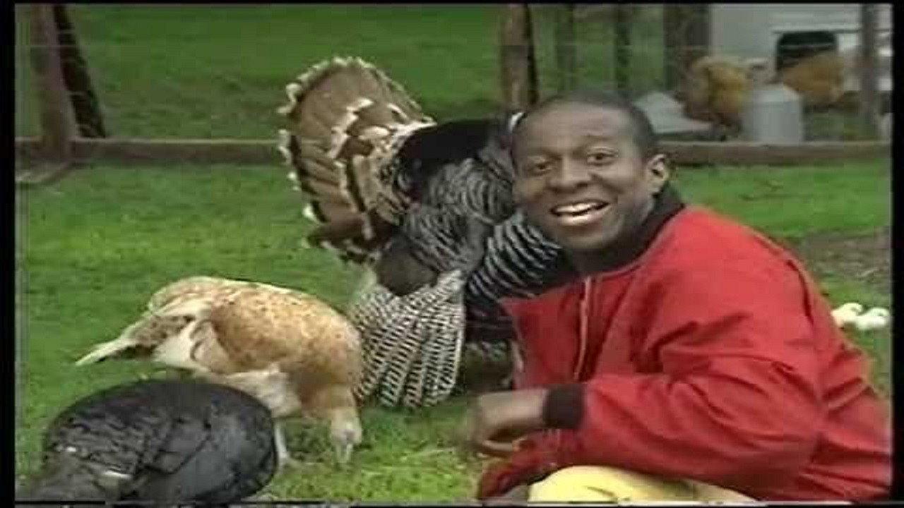 Makaton Nursery Rhymes 2012 movie scene