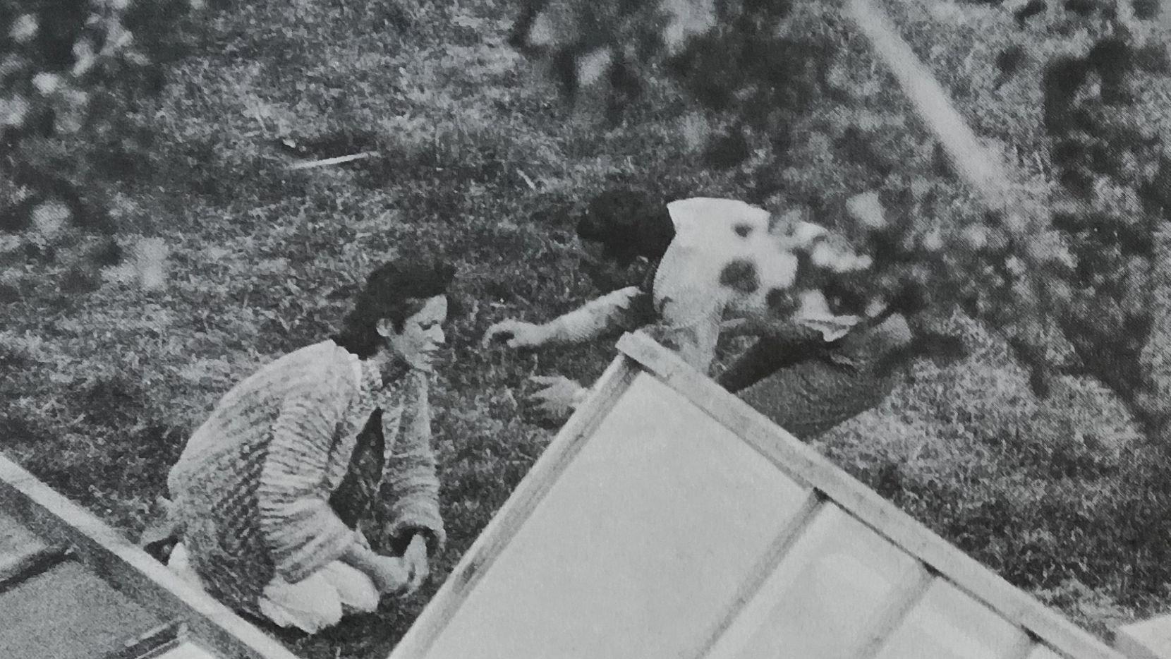 The Enclosure 1978 movie scene