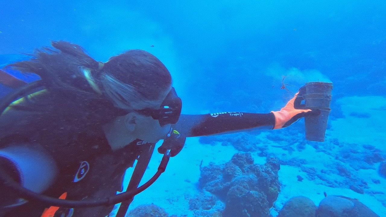 Julieta & the Turtles in the Plastic Soup  movie scene