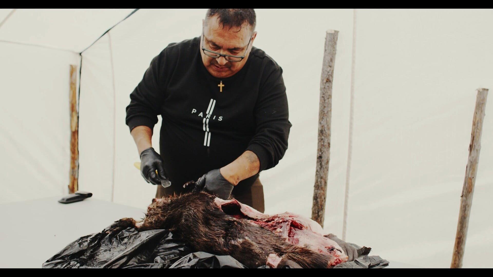 Harvesting Traditional Innu Foods: Amishkᵘ 2025 movie scene